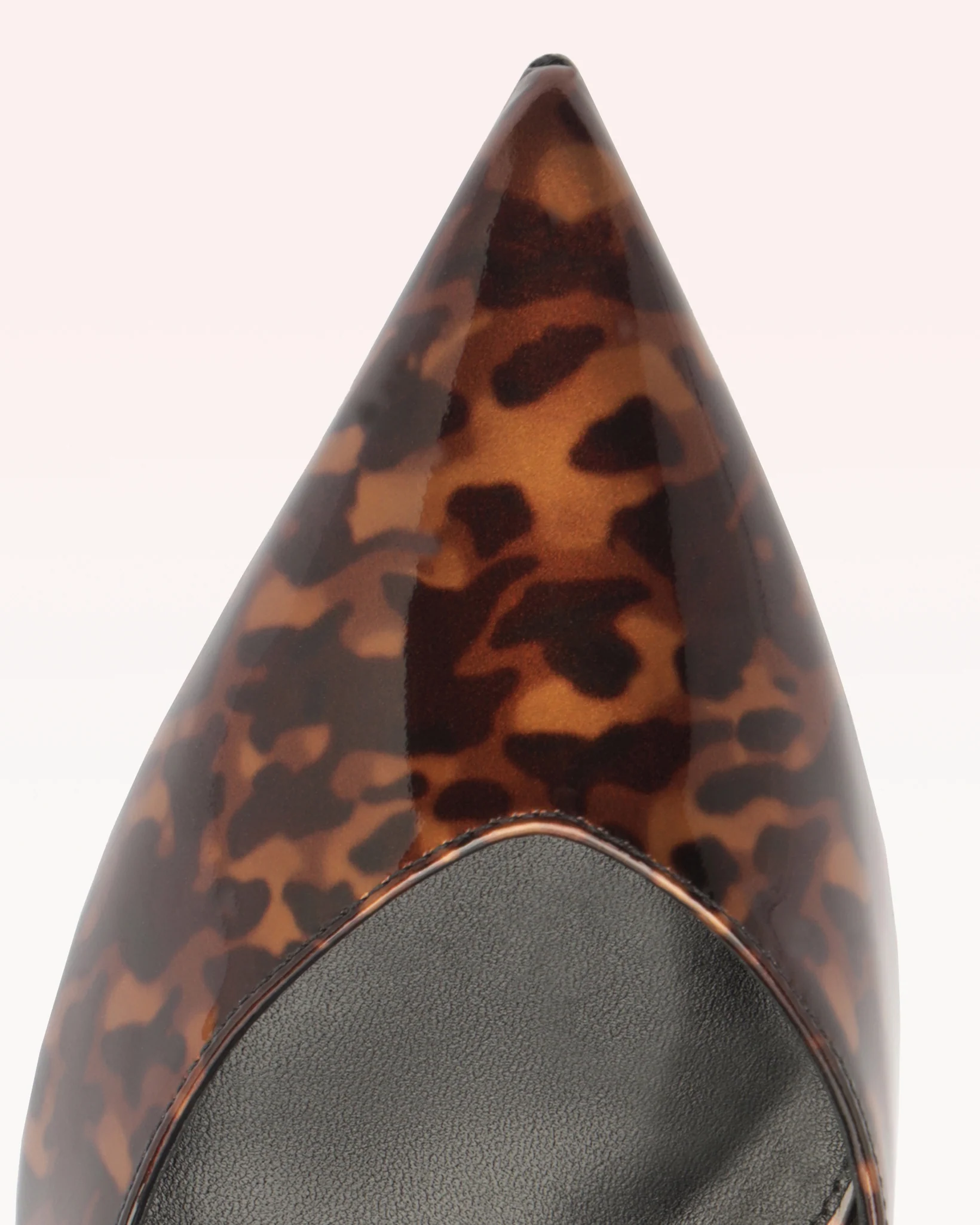 Frenchie Pump Nut - Image 4