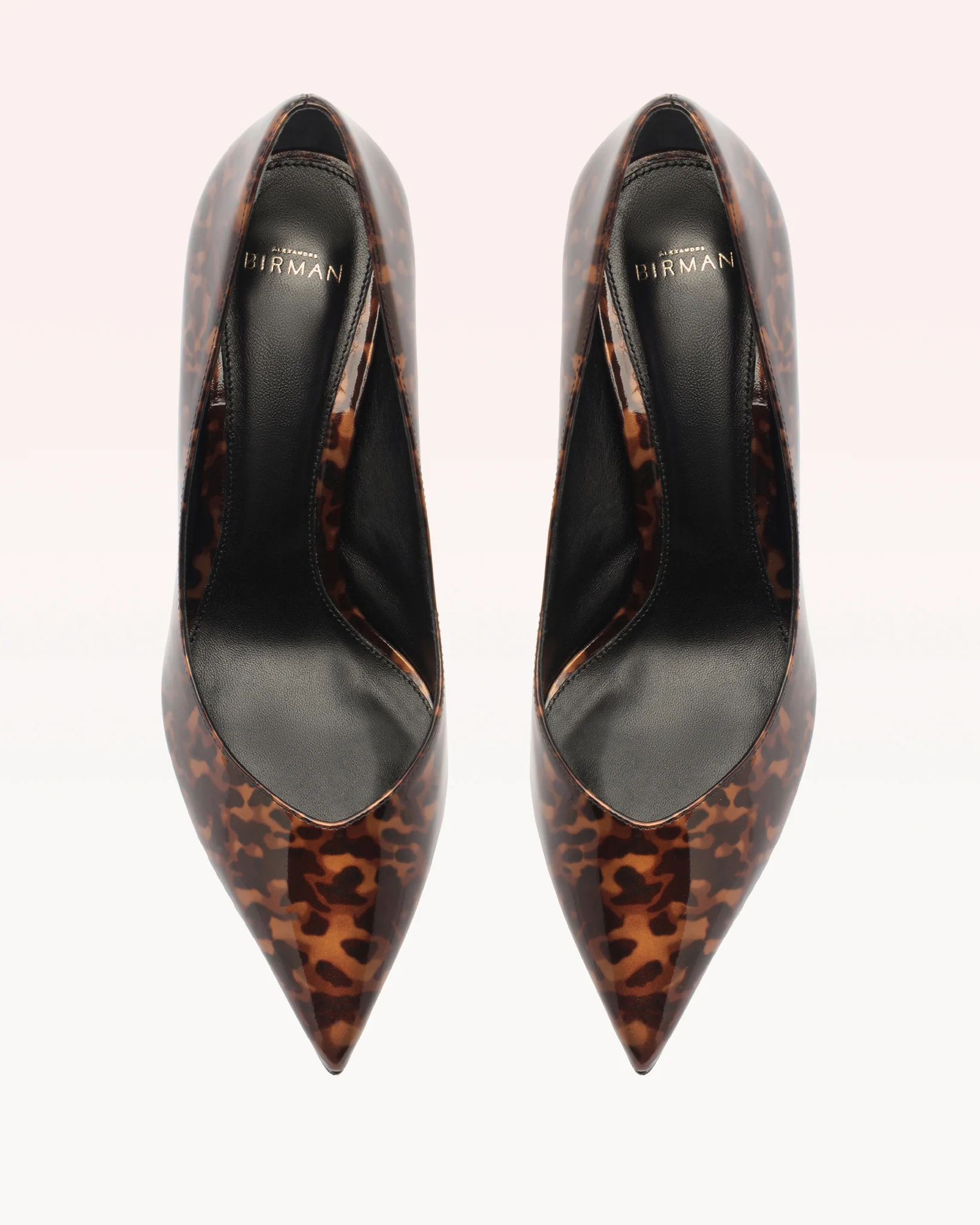 Frenchie Pump Nut - Image 5